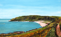 Pwll du